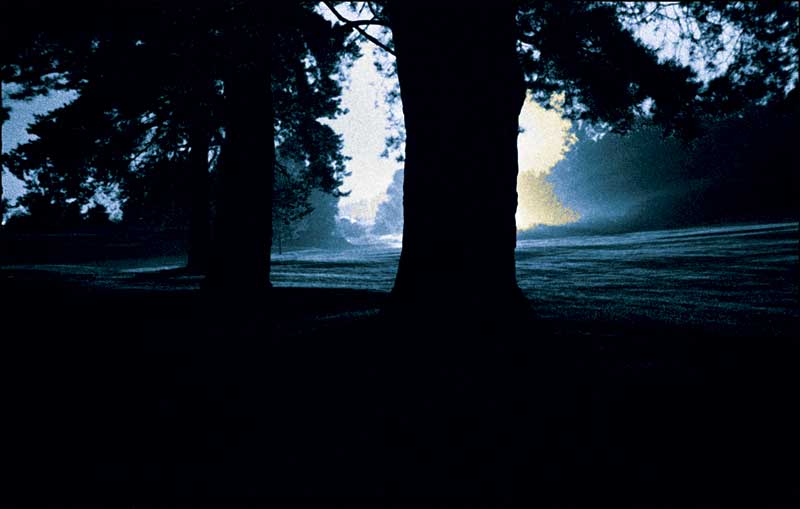 Golf Course at Night