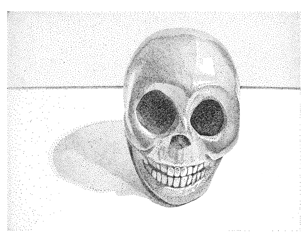Skull Head Drawing
