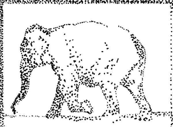 Elephant1