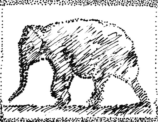 Elephant11