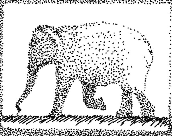Elephant13