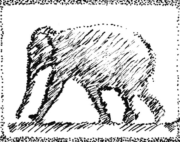 Elephant17