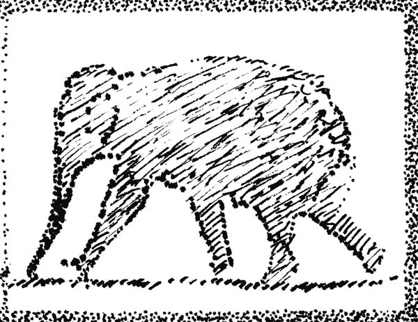 Elephant18