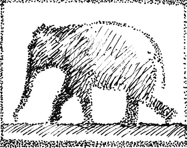 Elephant19