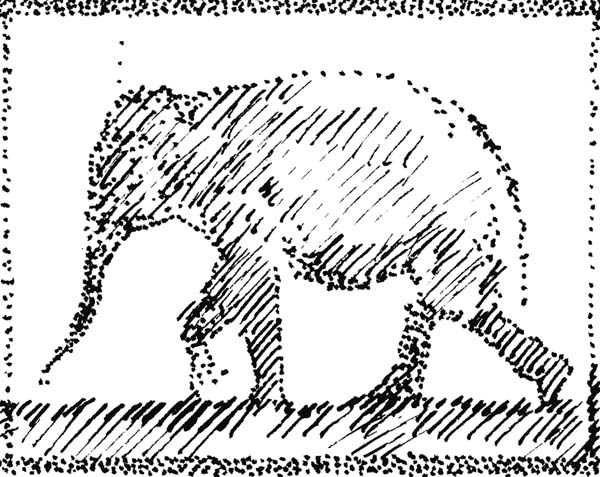 Elephant20