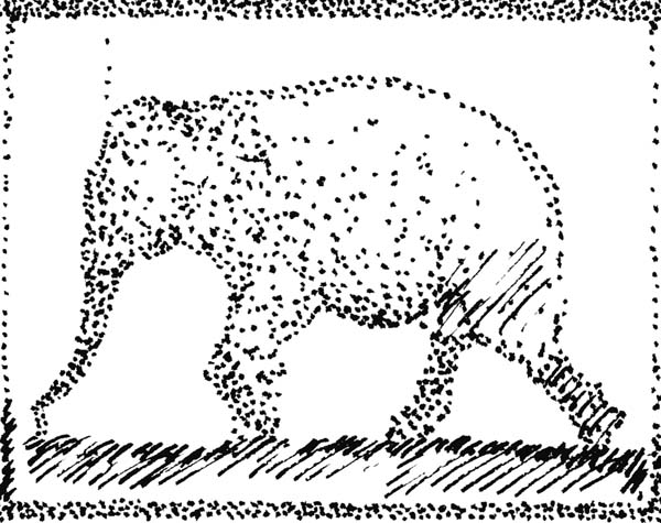 Elephant21
