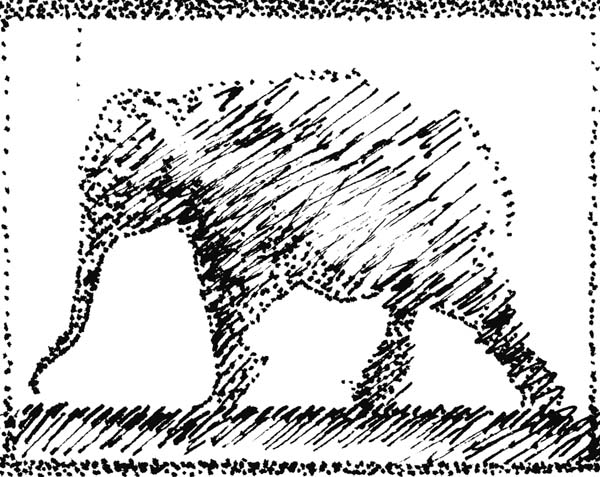 Elephant22