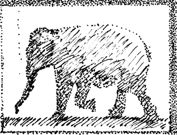 Elephant24