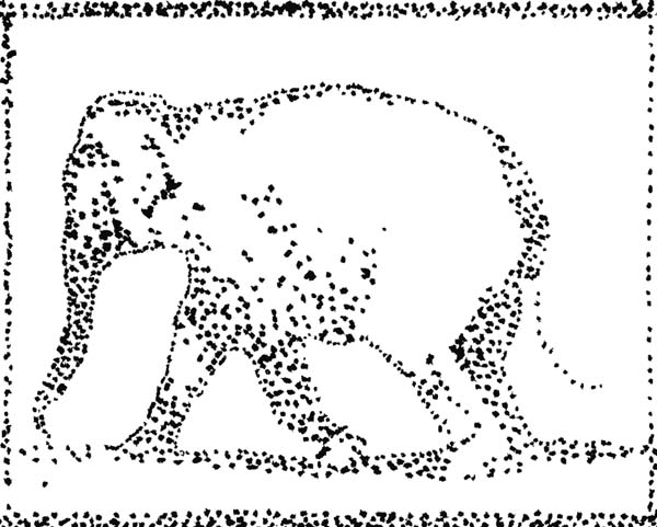 Elephant3