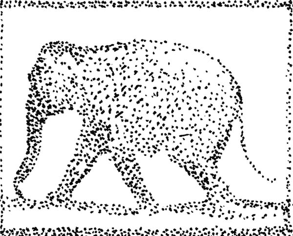 Elephant4