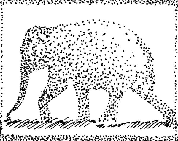 Elephant8
