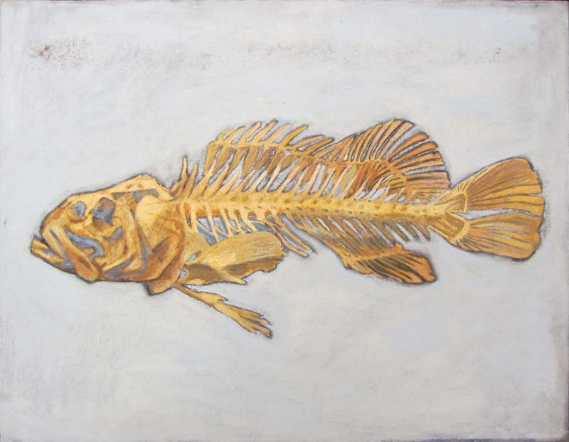 Fish Skeleton