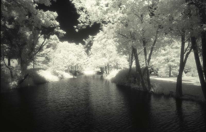 Oregon IR