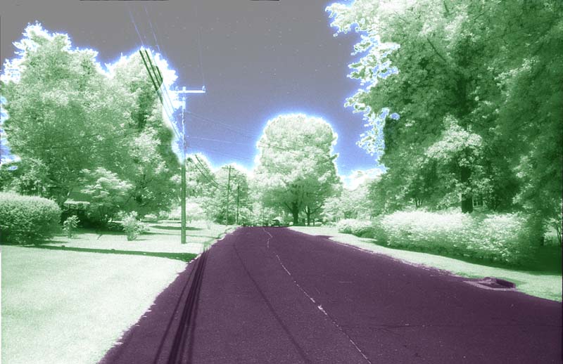Selden Hill Drive